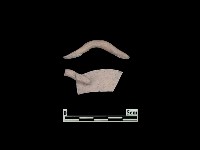 陶片藏品圖，第1張