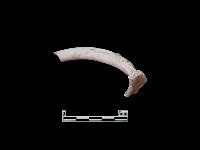 陶片藏品圖，第2張