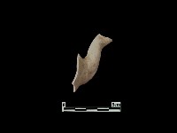 陶片藏品圖，第2張