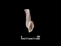 陶片藏品圖，第3張