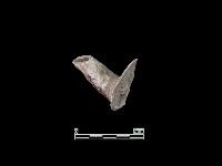 陶片藏品圖，第1張