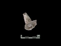 陶片藏品圖，第3張