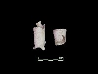 陶片藏品圖，第1張