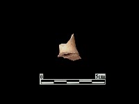 陶片藏品圖，第2張