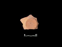 陶片藏品圖，第2張