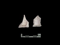 陶杯藏品圖，第2張