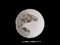 瓷碟藏品圖，第1張