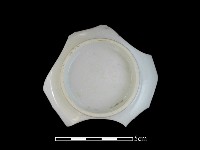 瓷碟藏品圖，第2張