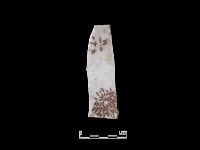 帶紋飾瓷片藏品圖，第2張