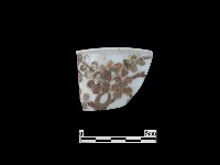 帶紋飾瓷片藏品圖，第1張