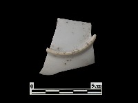 帶紋飾瓷片藏品圖，第1張