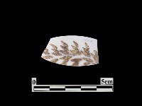 帶紋飾瓷片藏品圖，第1張