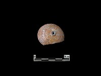 水滴藏品圖，第2張