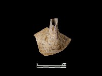 陶壺藏品圖，第2張