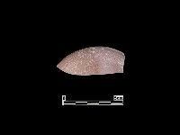 陶蓋藏品圖，第2張