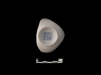 帶款識瓷片藏品圖，第1張