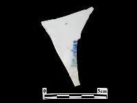 帶款飾瓷片藏品圖，第1張