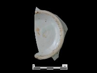 帶款飾瓷片藏品圖，第1張