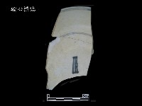 帶款飾瓷片藏品圖，第1張