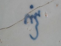 帶款飾瓷片藏品圖，第4張