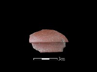 茶壺藏品圖，第2張