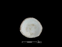 瓷杯藏品圖，第2張