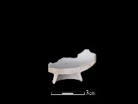 瓷杯藏品圖，第2張