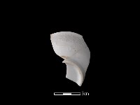 帶紋飾瓷片藏品圖，第2張