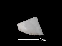 帶紋飾瓷片藏品圖，第1張