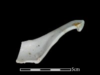 湯匙藏品圖，第2張