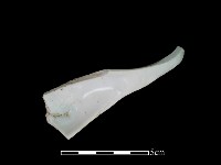 湯匙藏品圖，第3張