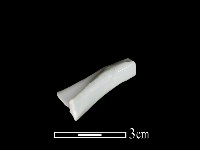 湯匙藏品圖，第2張