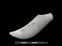 湯匙藏品圖，第2張