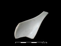 湯匙藏品圖，第2張