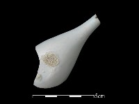 湯匙藏品圖，第1張