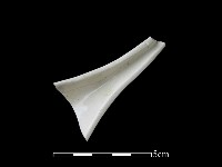 湯匙藏品圖，第1張