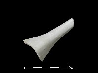 湯匙藏品圖，第2張