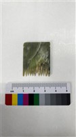 梳齒型玉器複製品藏品圖，第1張