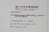 曲莖馬藍藏品圖，第2張