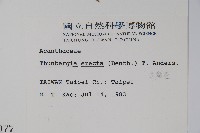 立鶴花藏品圖，第2張