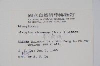 華八角楓藏品圖，第2張