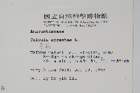 青葙藏品圖，第2張