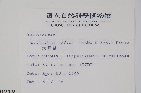 小錦蘭藏品圖，第2張