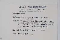 酸藤藏品圖，第2張