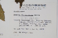 鵲不踏藏品圖，第5張