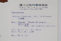 水鴨腳藏品圖，第2張