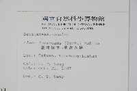 臺灣赤楊、臺灣榿木藏品圖，第2張