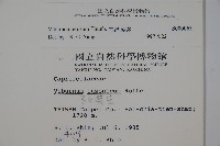 松田氏莢迷、宜昌莢迷藏品圖，第2張