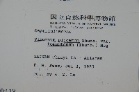 蝴蝶莢迷藏品圖，第2張