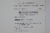 冇骨消藏品圖，第2張